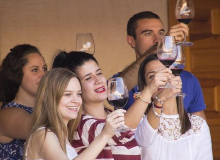 Cata comentada de vinos con maridaje - Los Castillos Agroturismo - Casa Rural en Toledo