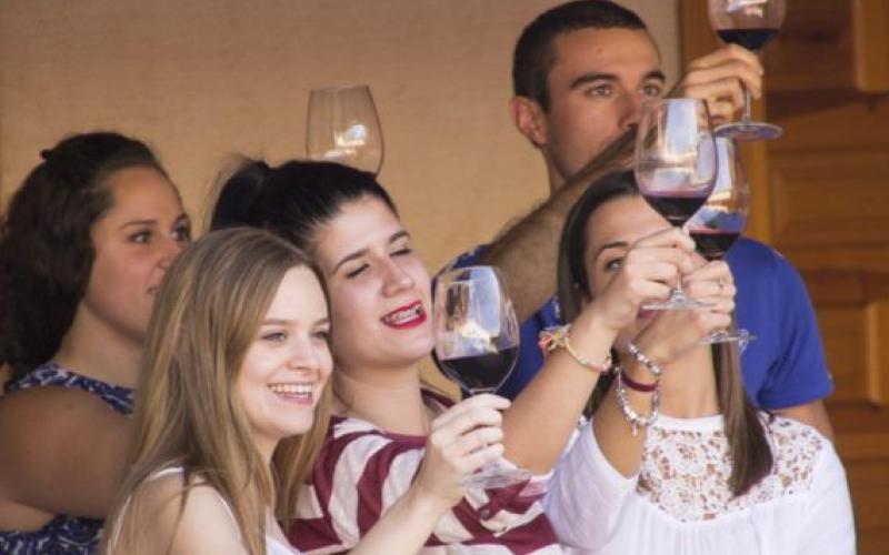 Cata comentada de vinos con maridaje - Los Castillos Agroturismo - Casa Rural en Toledo