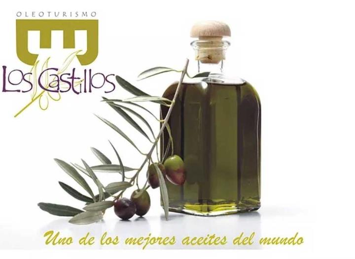 Oleoturismo  - Los Castillos Agroturismo - Casa Rural en Toledo