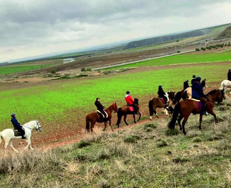 RUTAS A CABALLO  - Los Castillos Agroturismo - Casa Rural en Toledo