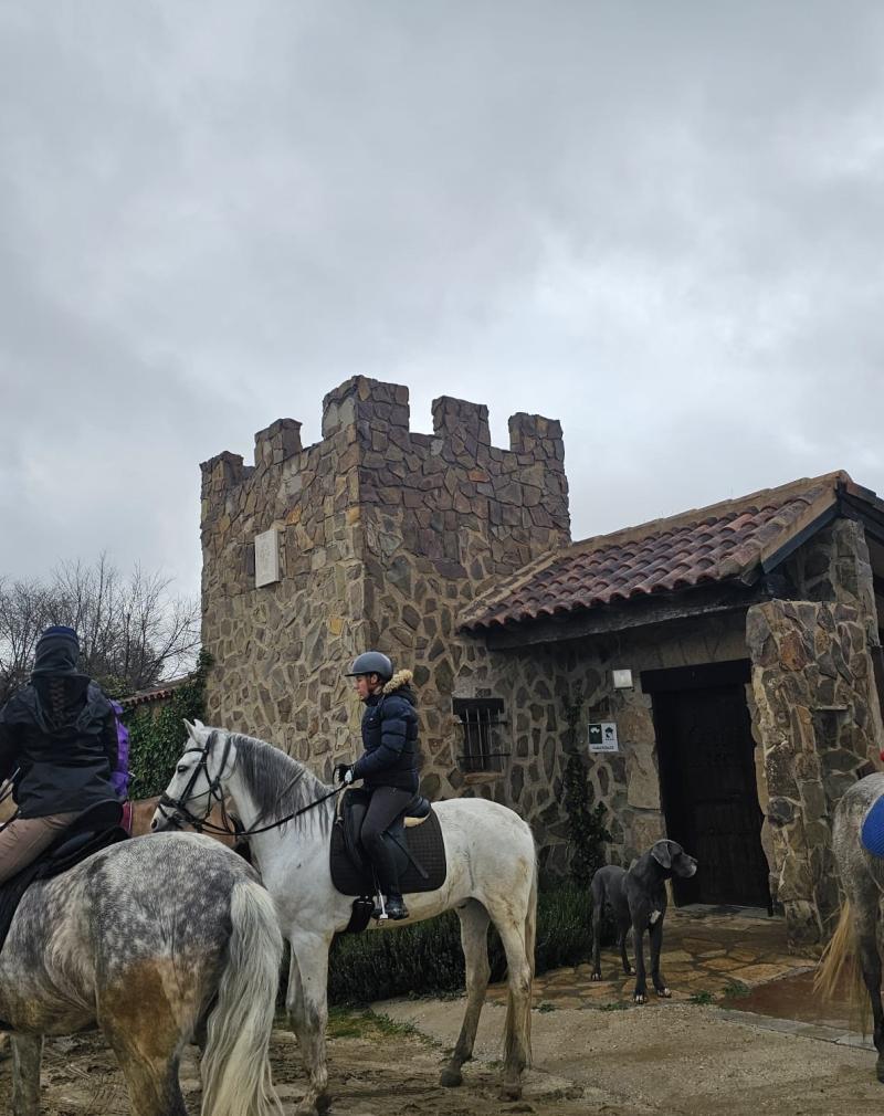 RUTAS A CABALLO  - Los Castillos Agroturismo - Casa Rural en Toledo