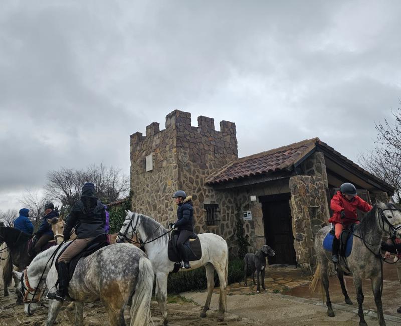 RUTAS A CABALLO  - Los Castillos Agroturismo - Casa Rural en Toledo