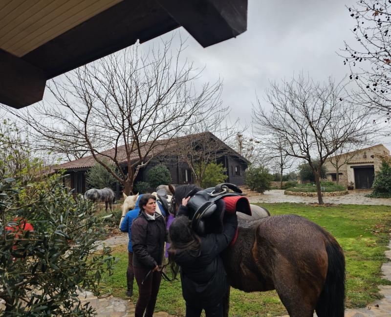 RUTAS A CABALLO  - Los Castillos Agroturismo - Casa Rural en Toledo