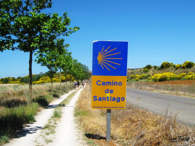 ^https://www.loscastillos.es/recursos/imagenes/camino_desantiago_mascaraque.jpg - Los Castillos Agroturismo - Casa Rural en Toledo